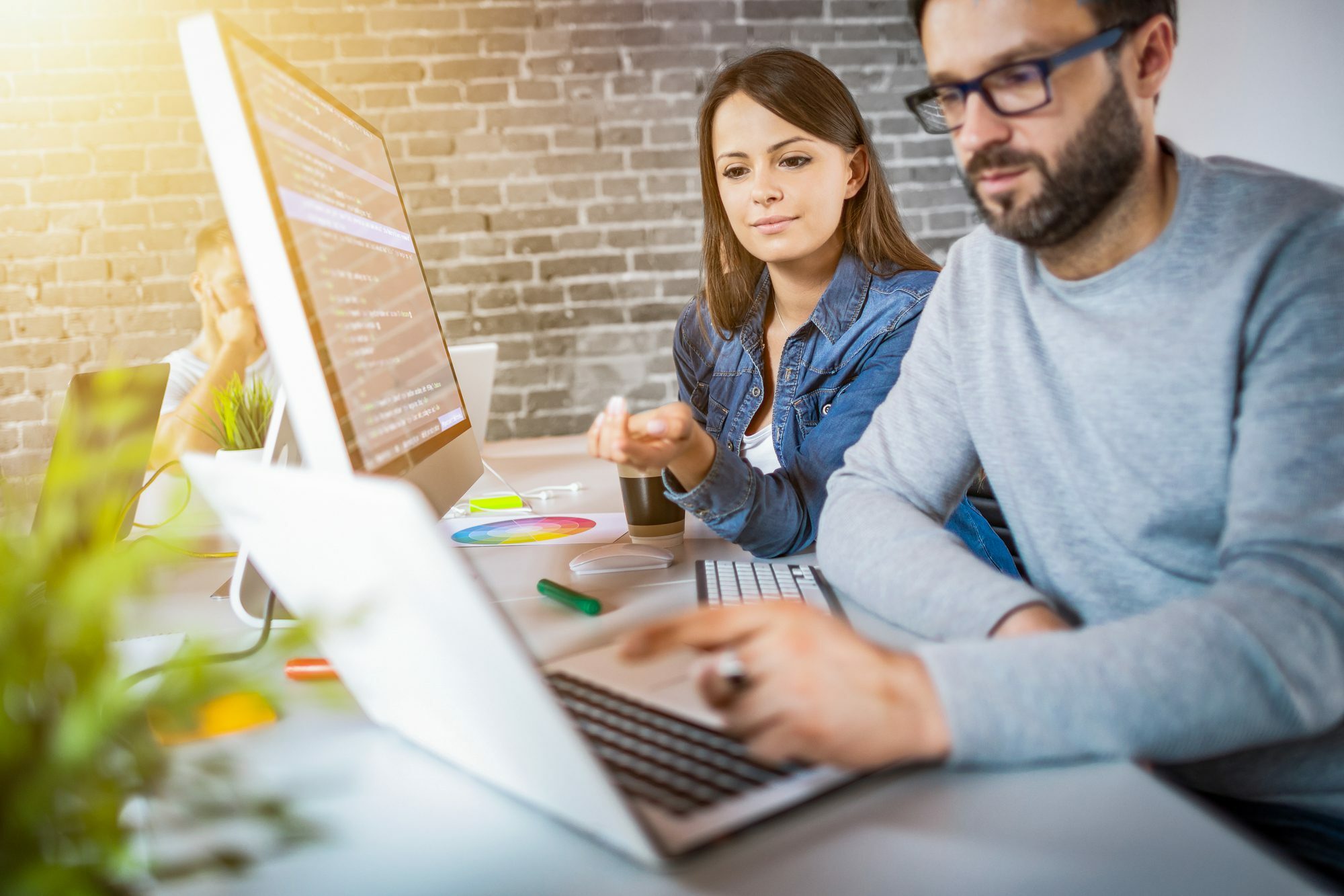 Programmer Working in a Software Develop Company Office.